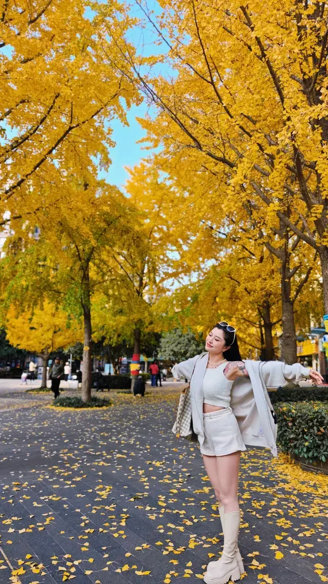 黃金城道及周邊最全銀杏拍攝citywalk路線 黃金城道及周邊最全銀杏拍攝citywalk路線