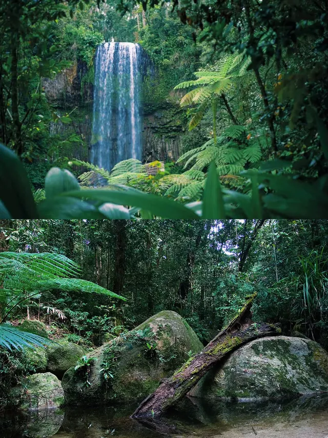 請大數據推給去澳大利亞的你｜攻略可下載！