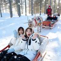 5日呼倫貝爾深度遊攻略全在這了