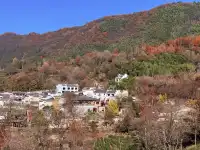 宏村→塔川一日遊