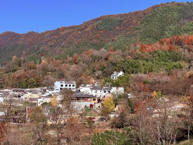 宏村→塔川一日遊