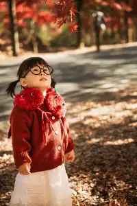 上海這裡的楓葉已經next level！附打卡路線