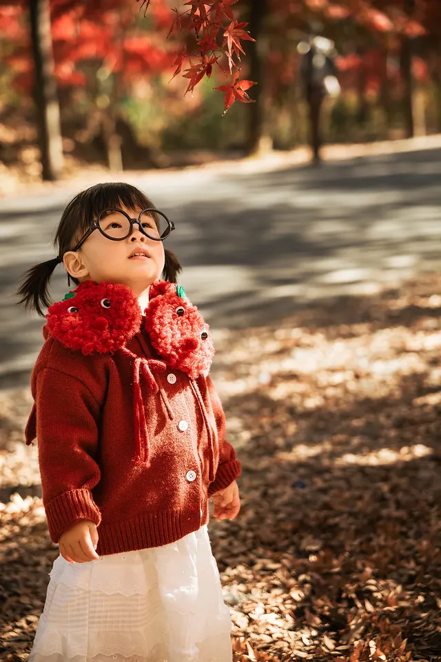 上海這裡的楓葉已經next level！附打卡路線