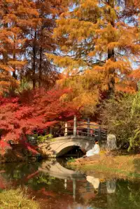 12.1武漢|現實版秋日莫內油畫~地鐵直達