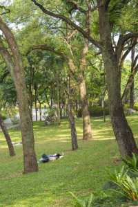 南寧綠野仙蹤的浪漫,來感受這裡的清新綠