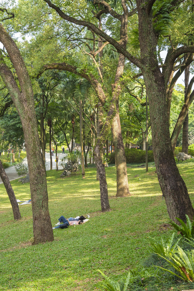 南寧綠野仙蹤的浪漫,來感受這裡的清新綠 南寧綠野仙蹤的浪漫,來感受這裡的清新綠