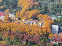 快衝!聽濤的彩林已經美到詞窮!