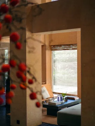 No one told me Shenzhen could be this relaxing