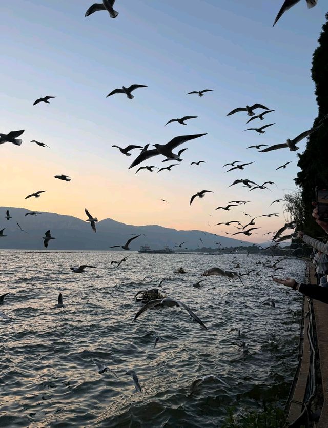 麗江食玩日記將浪漫同人間煙火味都袋晒落袋