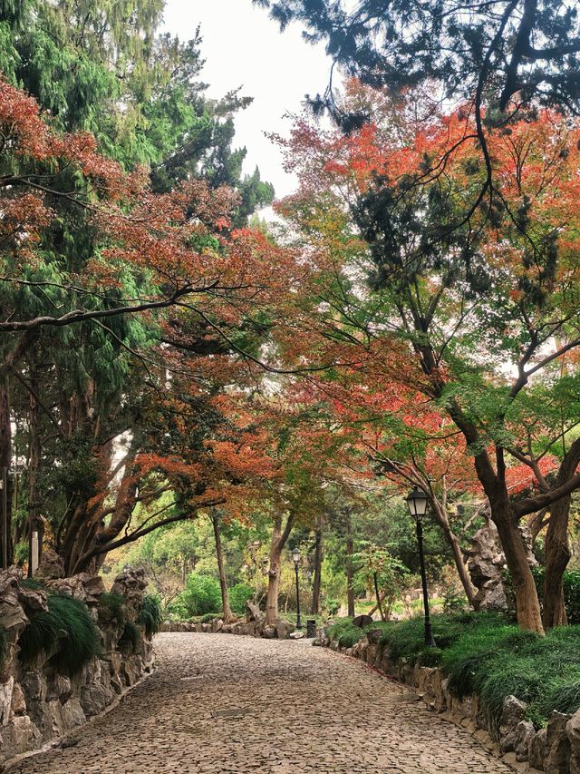 葉園秋深 | 一庭朱色染畫簷 葉園秋深 | 一庭朱色染畫簷