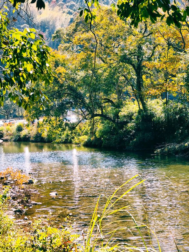 九峰村徒步 是誰說福州沒有秋天的 九峰村徒步 是誰說福州沒有秋天的