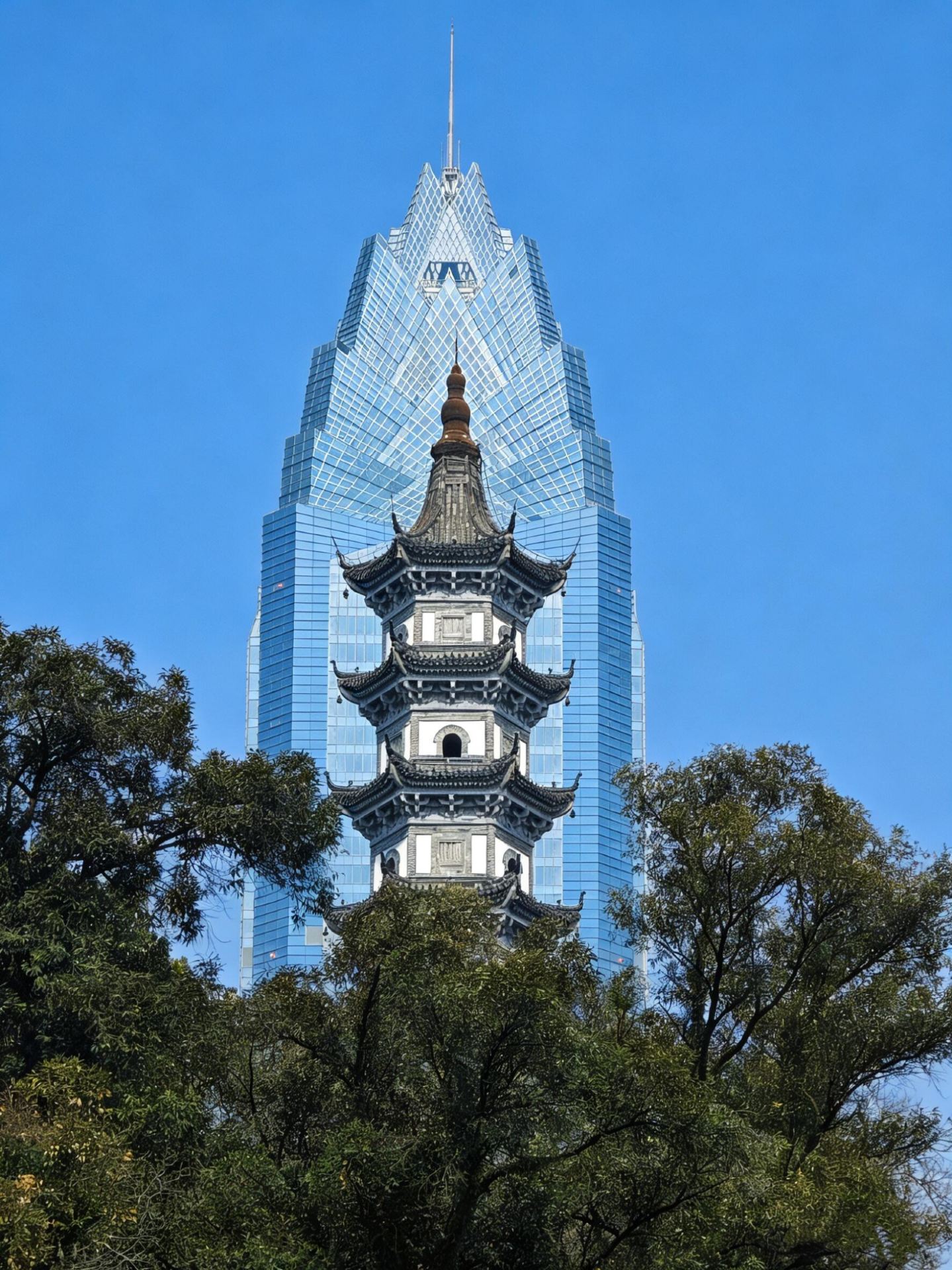  溫州市區一日遊保姆級攻略