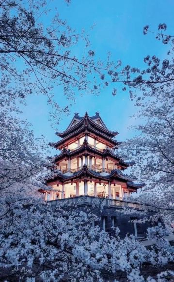 2026年無錫の桜観賞完全ガイド｜鼋頭渚の桜シーズン必見 | Trip.com 無錫