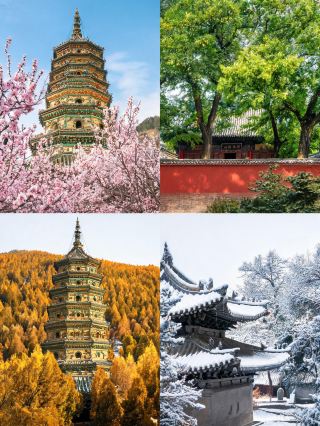 First visit to Guangsheng Temple, encounter the millennium-old temple and Feihong scenery