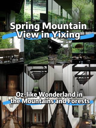 spring mountains in sight at yixing! a green wonderland in the forest