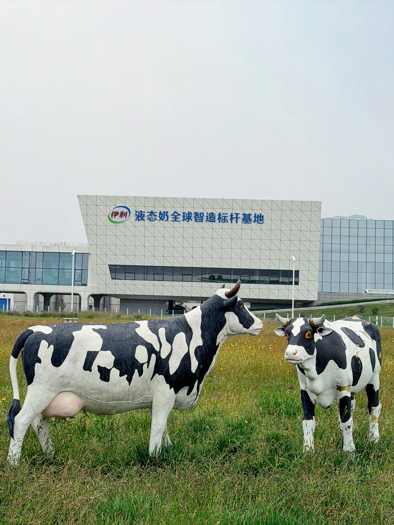 伊利健康谷旅遊景區,地點位於內蒙古呼和浩特市土默特左旗,從市區出發約30分鐘,滴滴30元左右。可以看到原材料入倉包裝到產品出盒裝箱,充滿科技與透明度。適合家庭、親子或者朋友一齊參觀嘅好地方。

推薦遊玩路線同必玩項目:
建議早上或中午入場(16:00停止入場),(早一天我們就是晚了去不了蒙牛!)預留半日時間慢慢參觀。最後去紀念品店探索各款特色產品,唔好錯過限定品牌周邊。

門票38元,記得預先購票,旁邊仲有可以同動物互動嘅園區。

話題:內蒙古工業旅遊、伊利健康谷、呼和浩特親子遊、工廠參觀體驗、智能生產線
