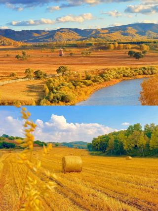 คำแนะนำจากใจ: ต้องไปชม "ภาพวาดสีน้ำมัน" แห่งฤดูใบไม้ร่วงที่อูลันบุตงสักครั้ง