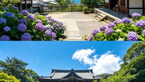 It wasn't until I arrived in Kamakura that I realized how poorly I had dressed — traveler post in Fujisawa