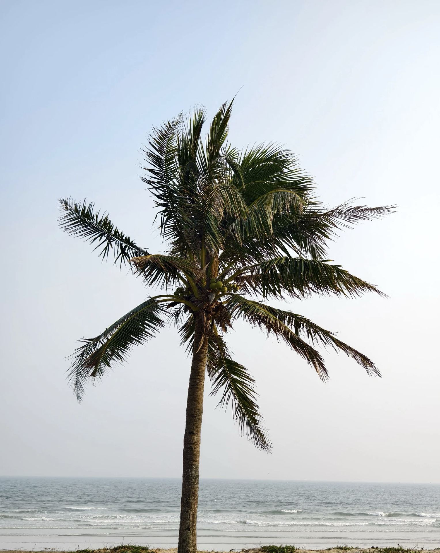 Fangji Island and Yushui Hot Spring: A 2-Day Maoming Itinerary 