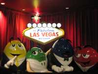 Vegas Trip