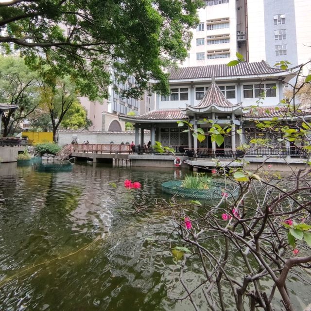 ✨鬧市中的嶺南園林建築🏯✨