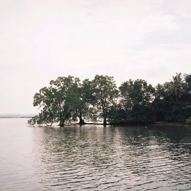 Sunrise at pulau ubin