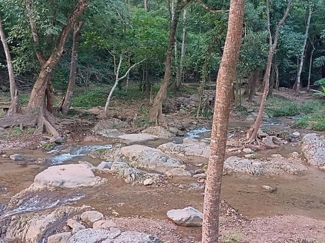 อุทยานแห่งชาติลานสาง 