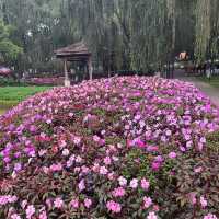 สวนดอกไม้เมืองหนาว ดาลัด (Dalat Flower Park)