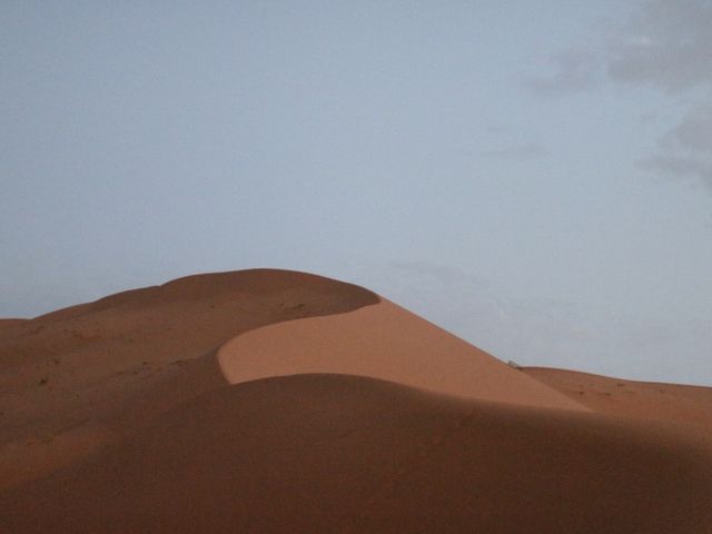 작렬하는 태양의 사하라 사막 🐫🌵