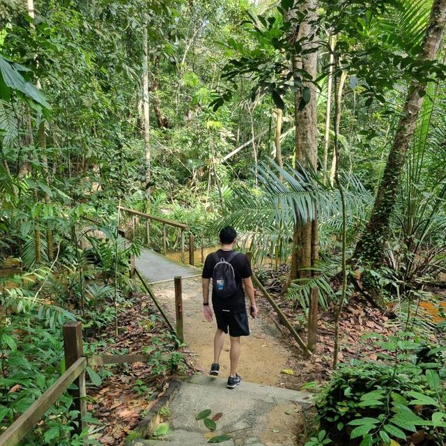 Hiking at Macritchie Nature Trail