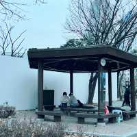 『~SBS放送局など、오목교の街中🌱~ 』INソウル🇰🇷