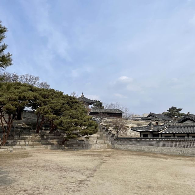 봄에 가면 좋은 창경궁 데이트