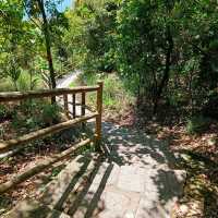 Quiet hike from Devil's Peak to Fisherman Village