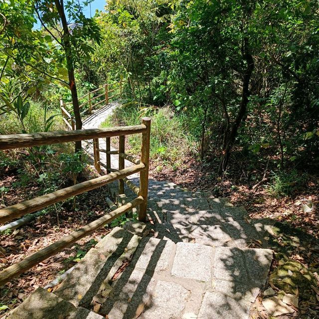 Quiet hike from Devil's Peak to Fisherman Village