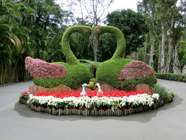 【台北】士林官邸公園 🌸 台北賞花景點推薦