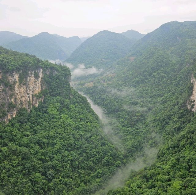 Glass Bridge Zhang Jia Jie