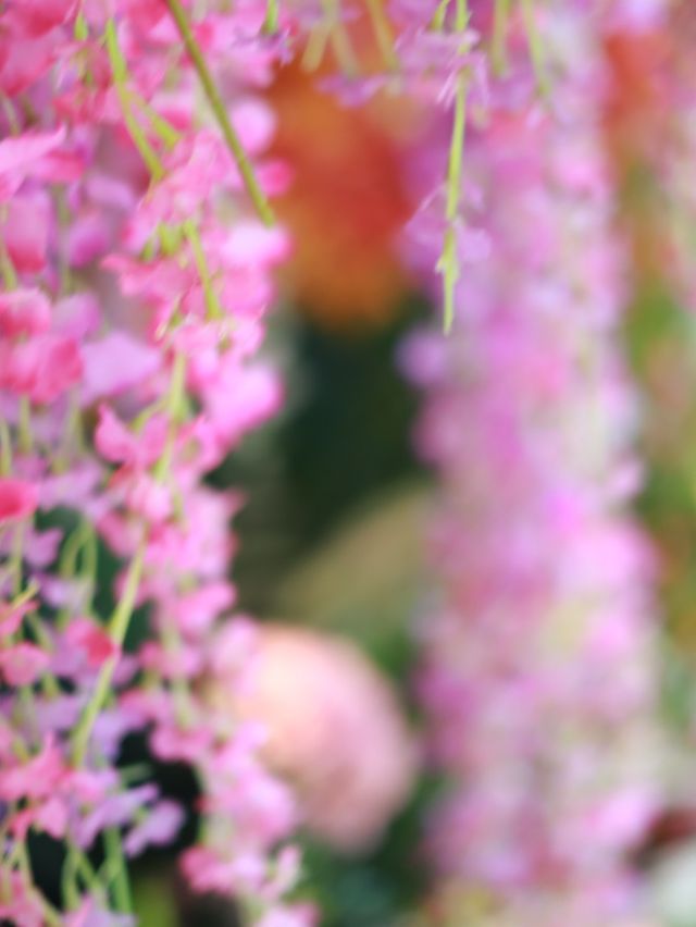 蜷川實花夢幻花園 @港島香格里拉酒店