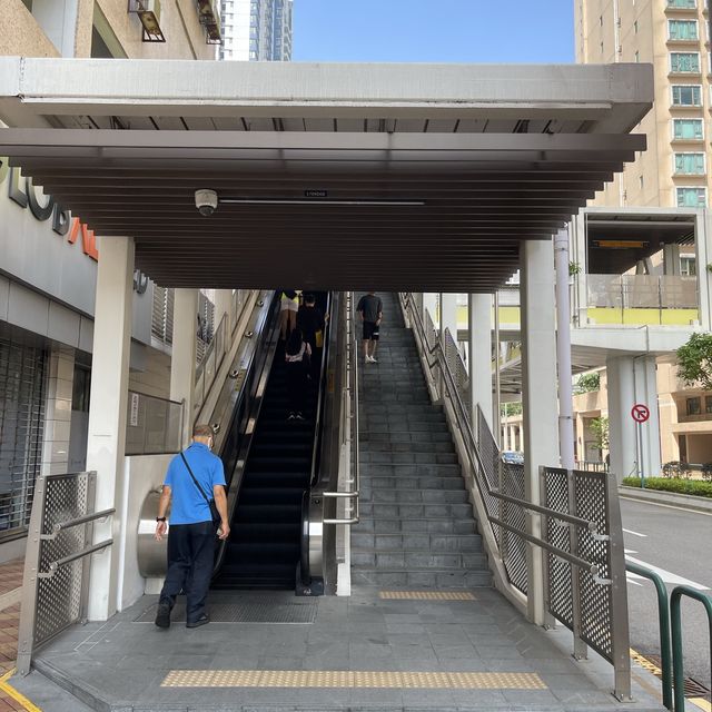 TAIPA PEDESTRIAN OVERPASS MTR BRIDGE TAIPA PEDESTRIAN OVERPASS MTR BRIDGE