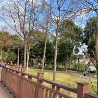 深圳景點✨最美立新湖公園