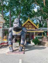 วัดพระธาตุดอยคำ เชียงใหม่ สักการะหลวงพ่อทันใจ 