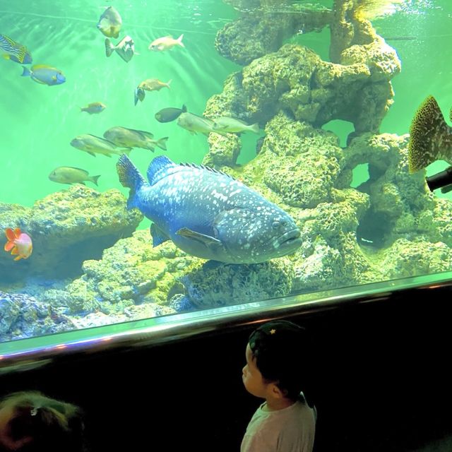 📍葛西臨海水族園