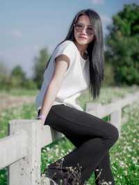 SINGHA PARK สัมผัสธรรมชาติท่ามกลางไร่ชา