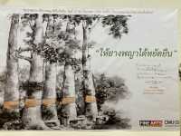 นิทรรศการให้ยางพญาได้หยัดยืน