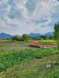 영광의 대표적인 여행지 불갑사 테마공원🌲
