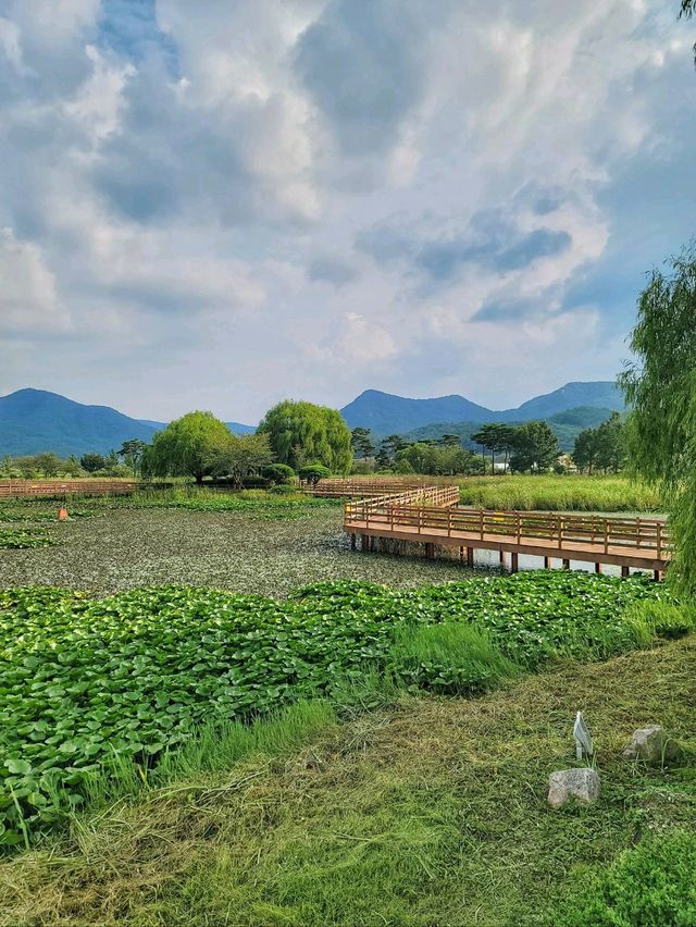 영광의 대표적인 여행지 불갑사 테마공원🌲