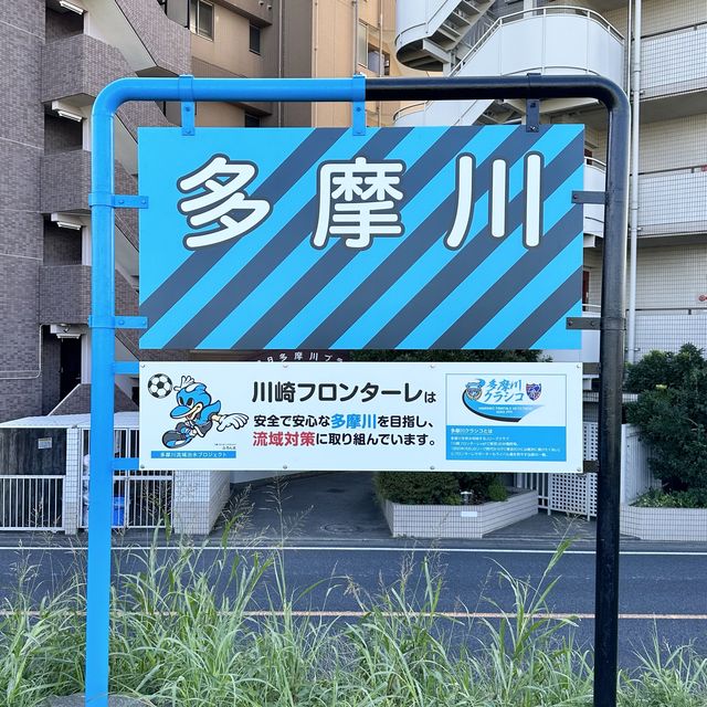 📍多摩川/東京
