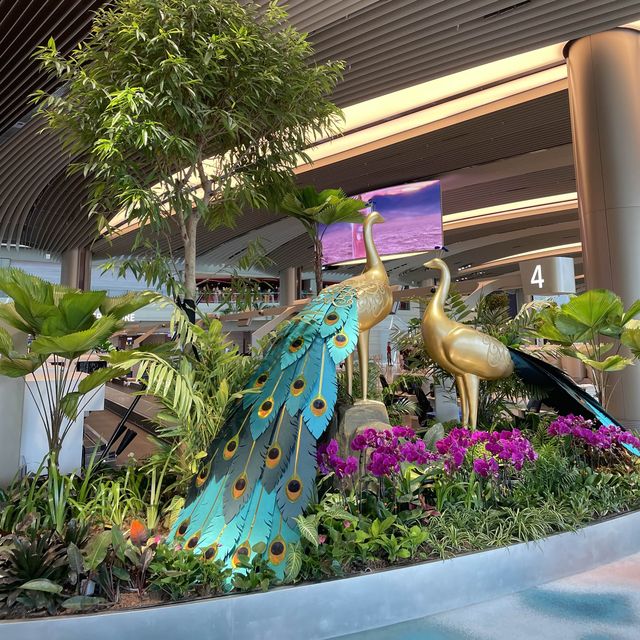 Changi Airport Newly Renovated Terminal 2