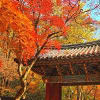 Beautiful Autumn of Naejangsan National Park