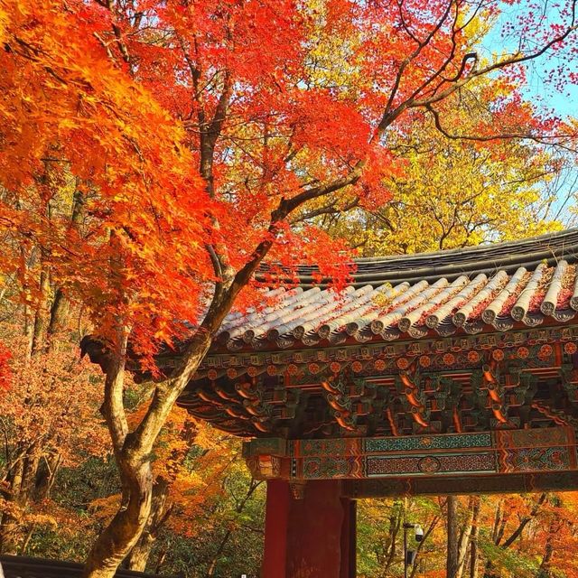 Beautiful Autumn of Naejangsan National Park