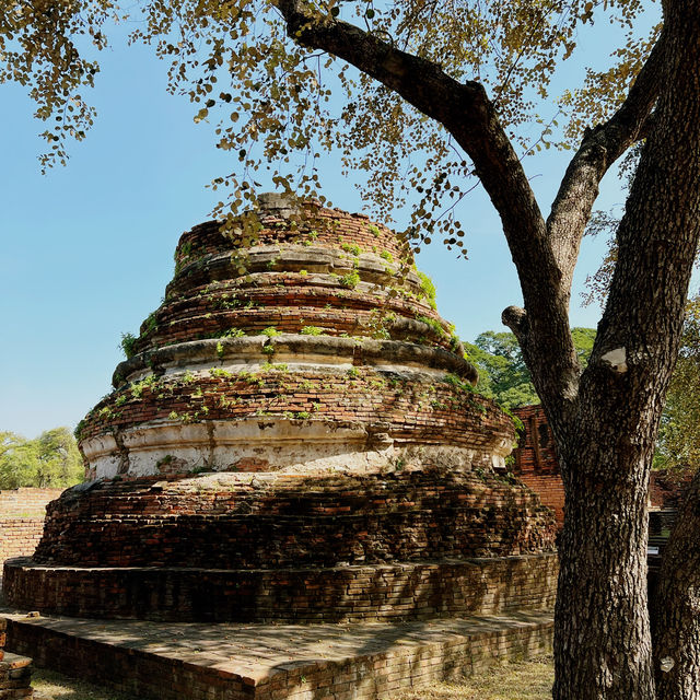 วัดพระศรีสรรเพชญ์